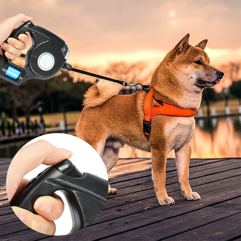 LED Flashlight Extendable Dog Leash
